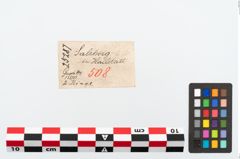 Etikett zu Bronzering (NHMW-PRAE-025287)